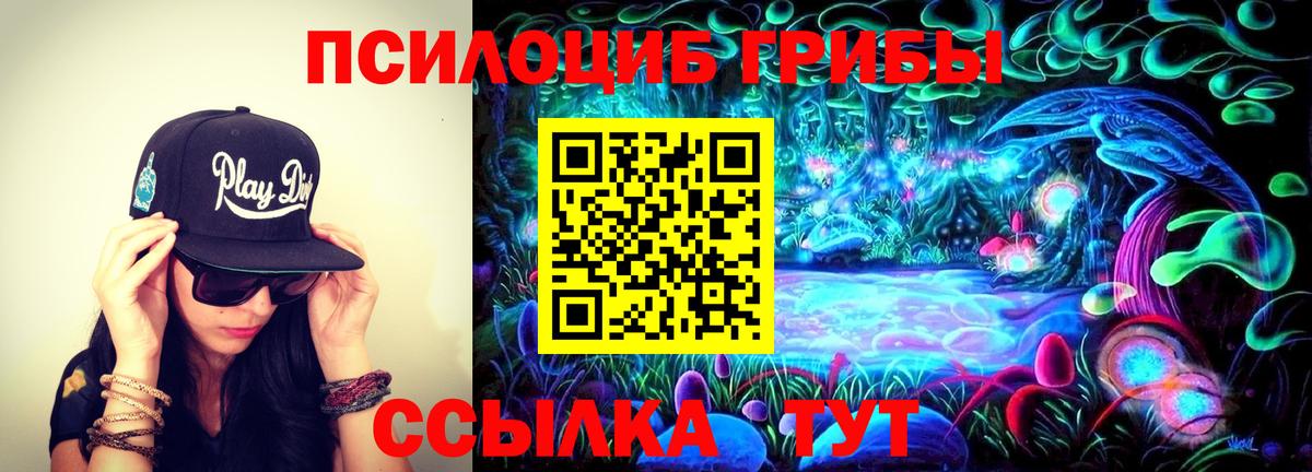 Галлюциногенные грибы MAGIC MUSHROOMS  Вход с VPN  купить  цена  Асбест 
